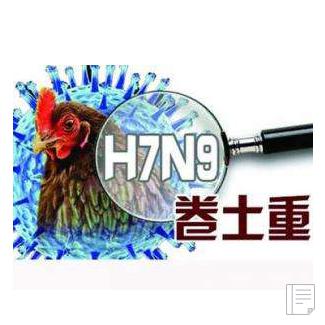 H7N9禽流感进入高发期 全国死亡人数已增加至87人